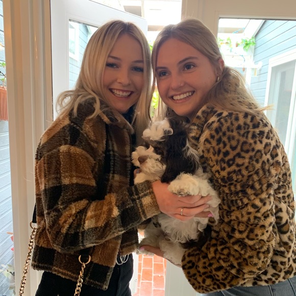 Meet your Posher, Rylie - Picture 3 of 4